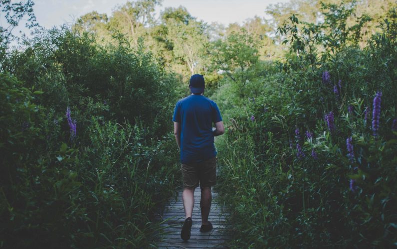 What Are The Health Benefits Of Outdoor Fitness Training And Some Outdoor Fitness Ideas?